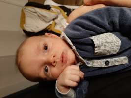 louis